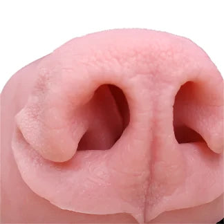 Black Bear Noses