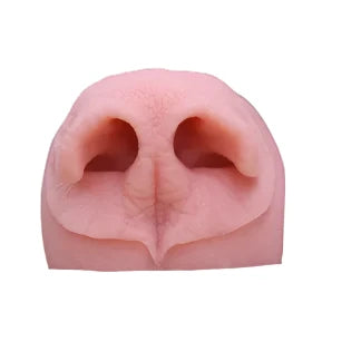 Black Bear Noses