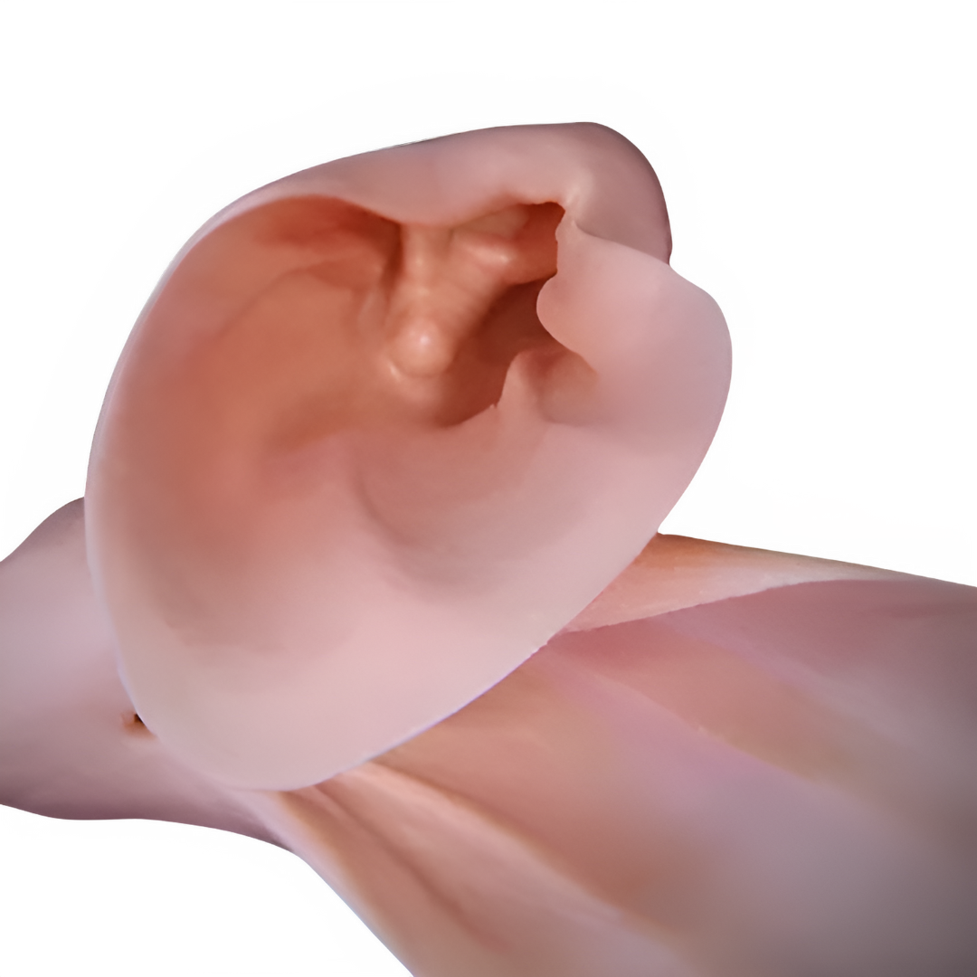 American Bison Ear Liners