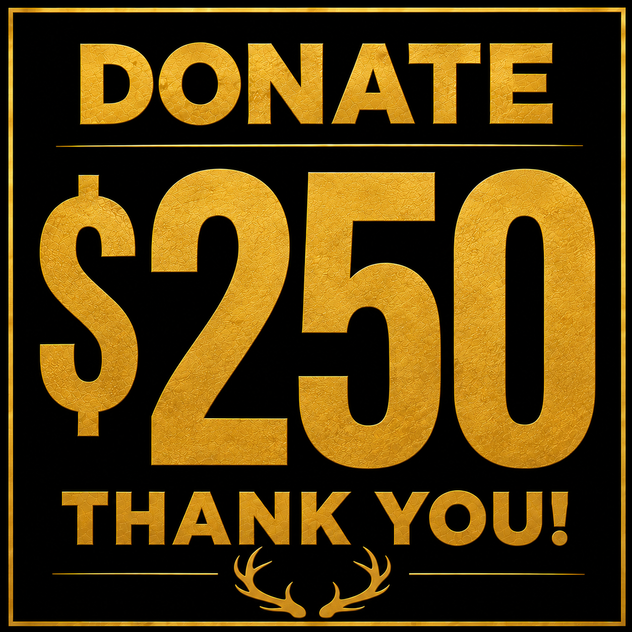 $250 Donation for the Verstegen Family