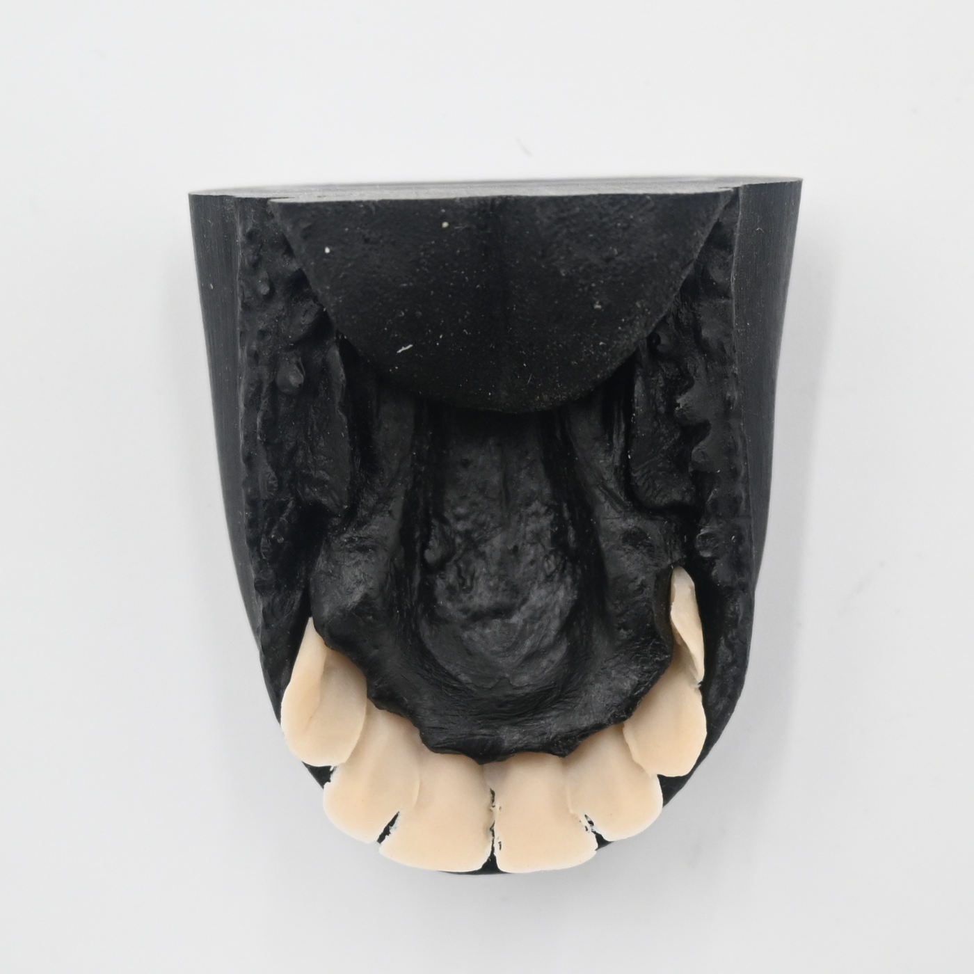 Pronghorn Split Lip Mouthpiece
