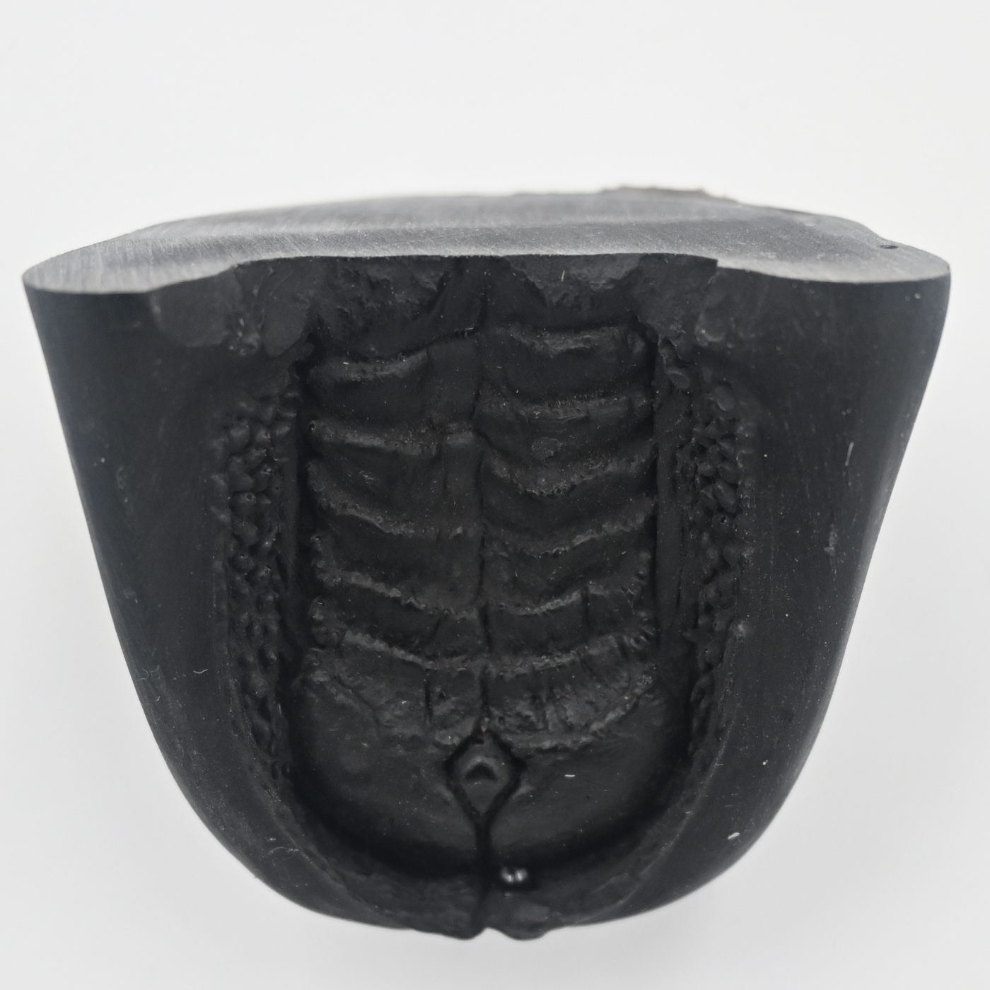 Pronghorn Split Lip Mouthpiece