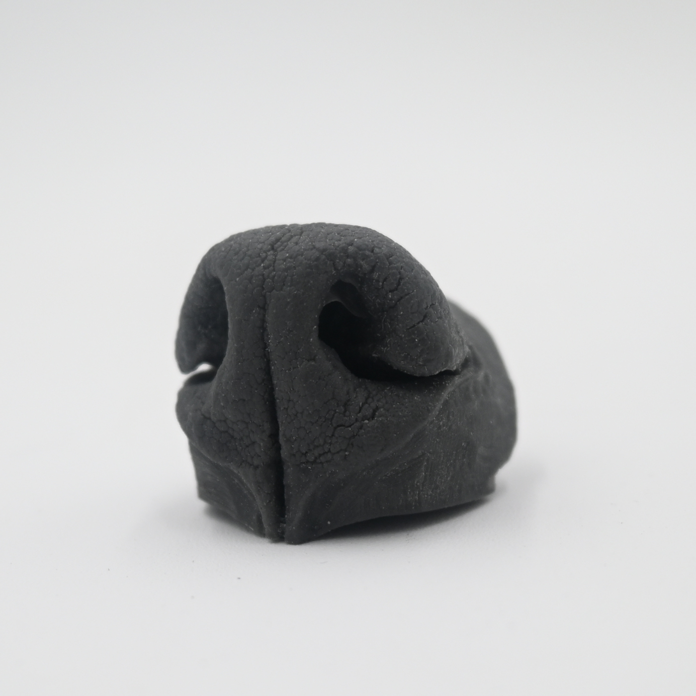 Coyote Replacement Nose