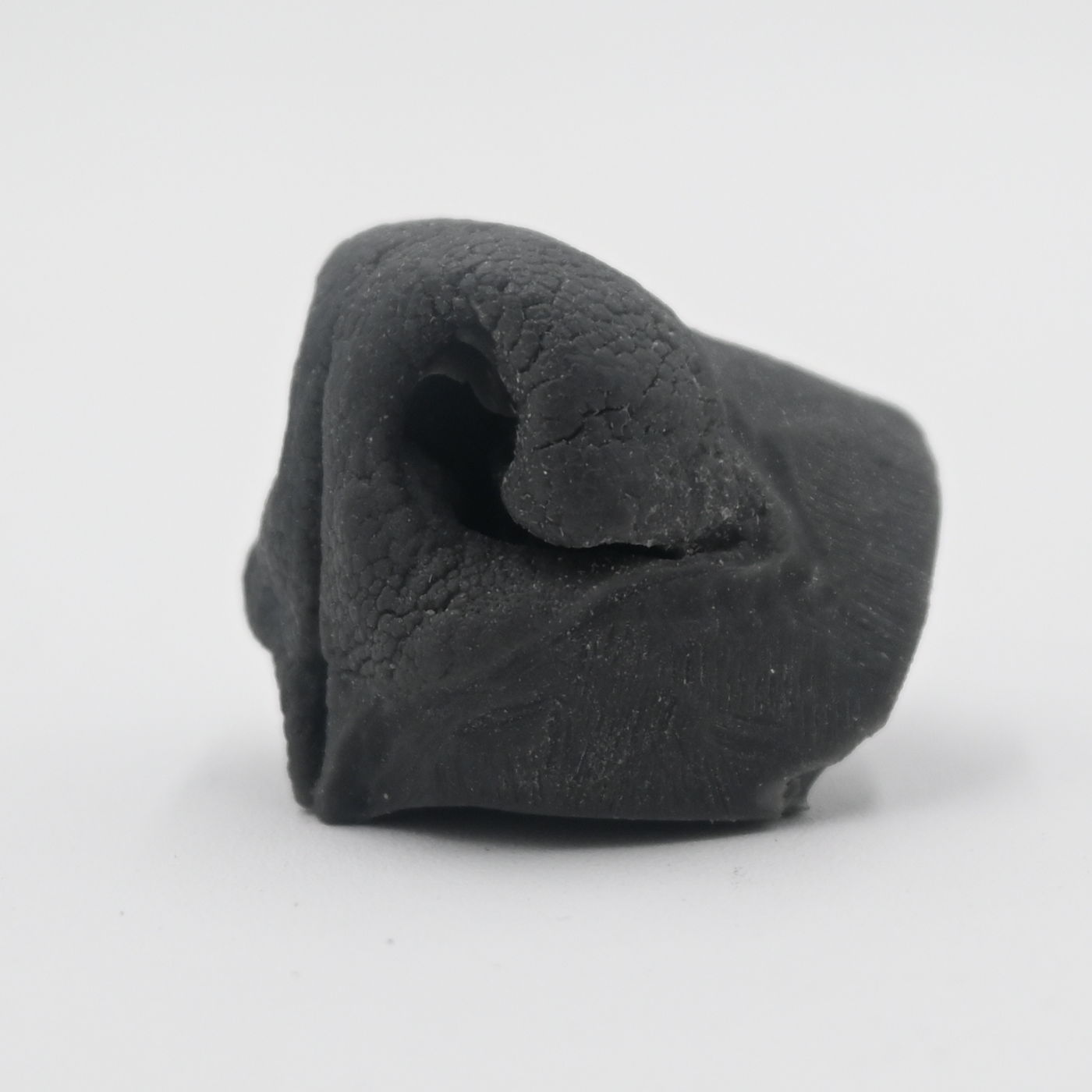 Coyote Replacement Nose