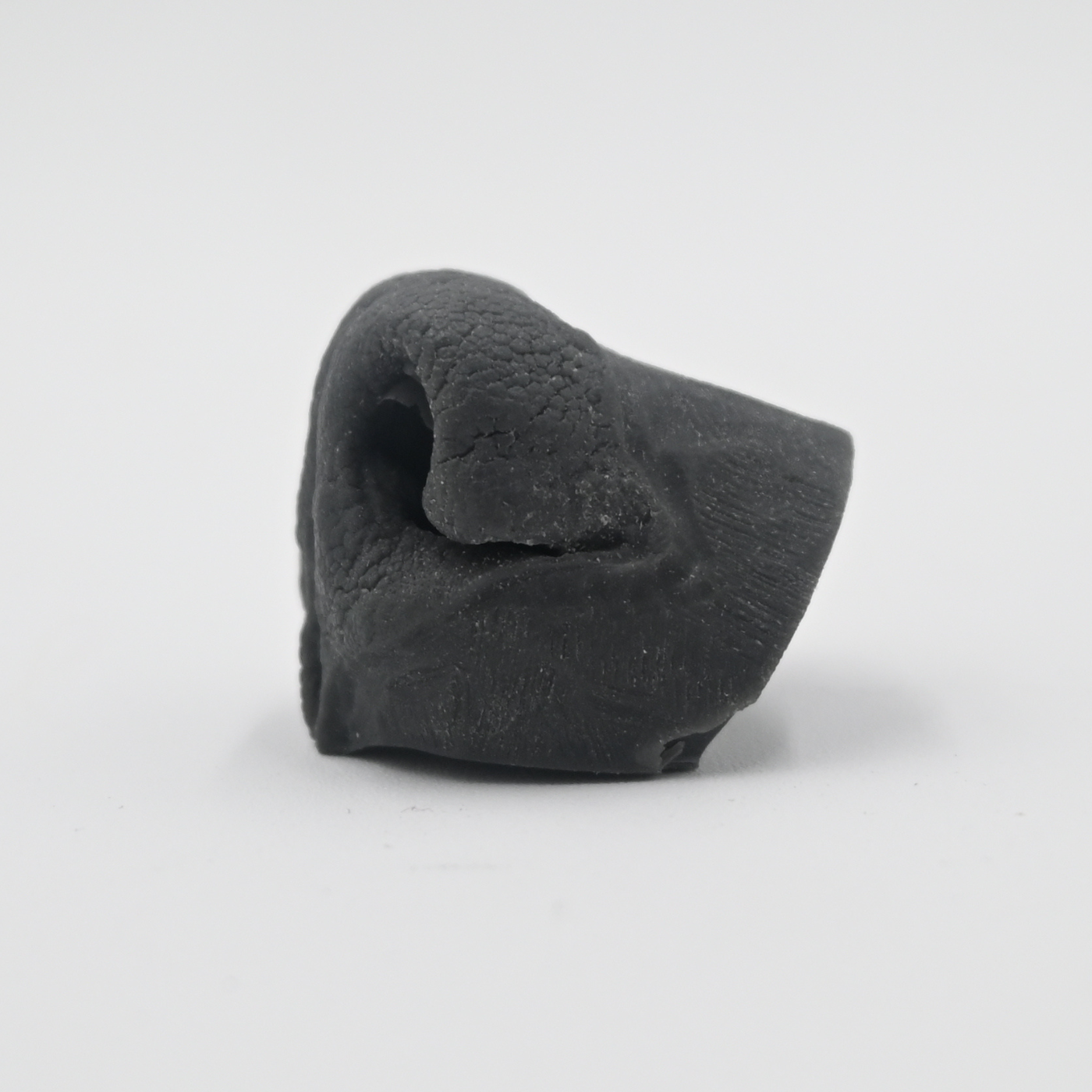 Coyote Replacement Nose