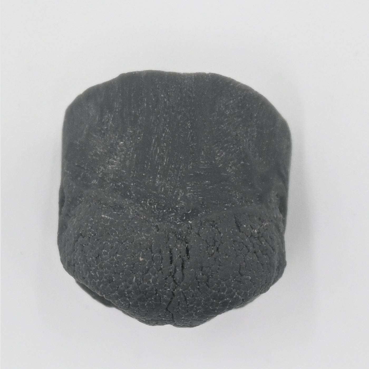 Coyote Replacement Nose