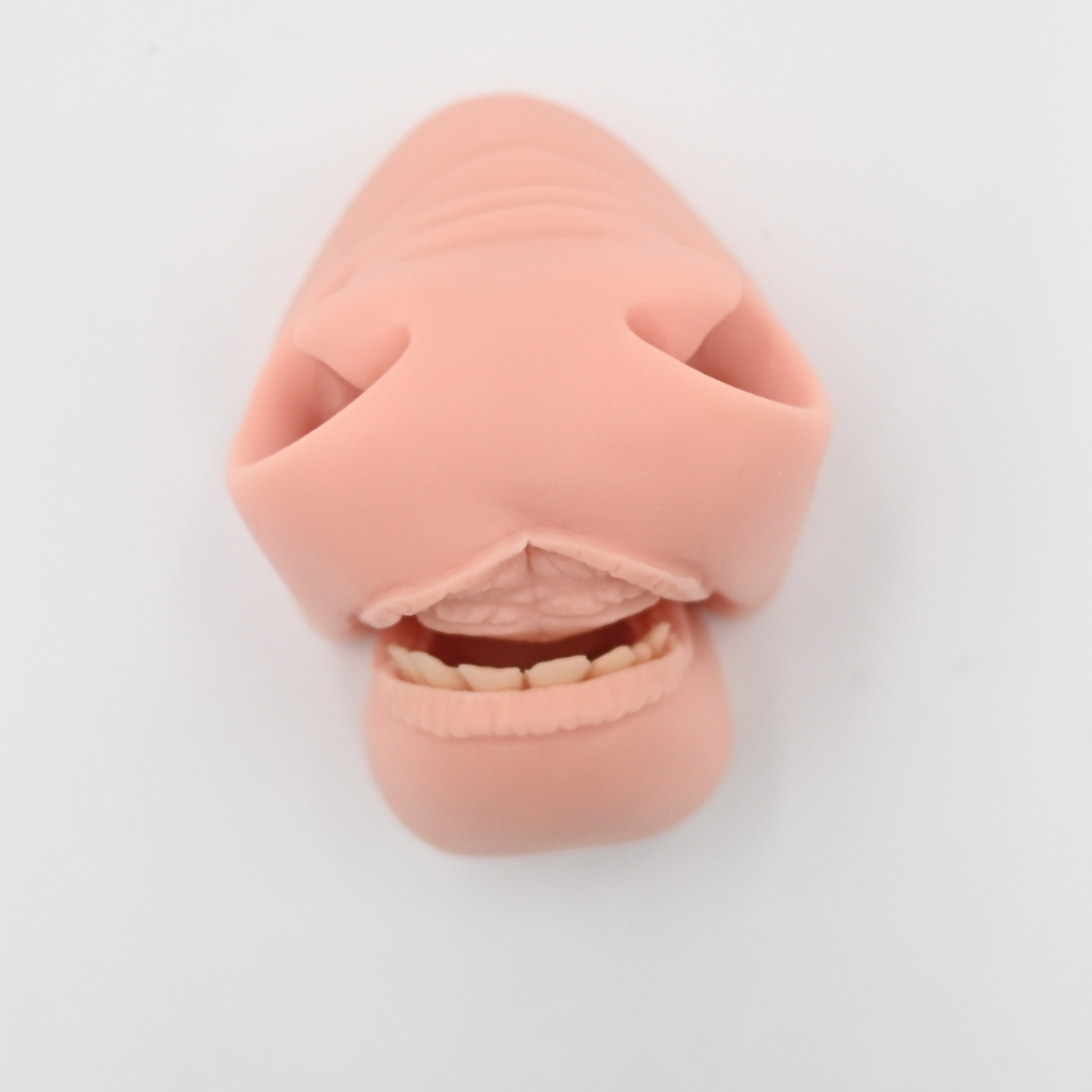 Mule Deer Flehmen Mouthpiece