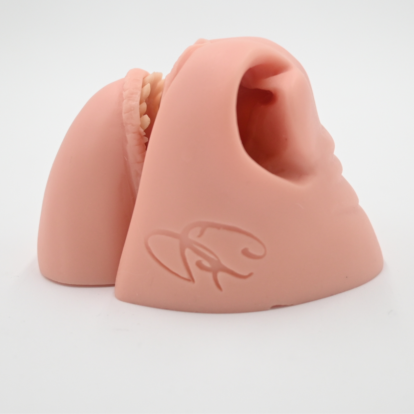 Mule Deer Flehmen Mouthpiece
