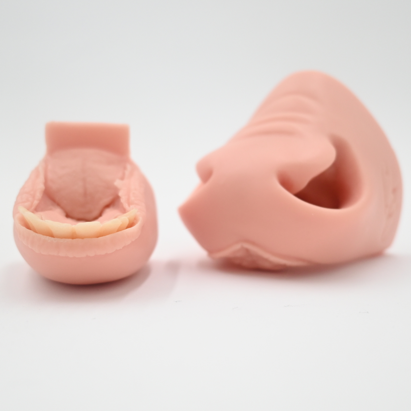 Mule Deer Flehmen Mouthpiece