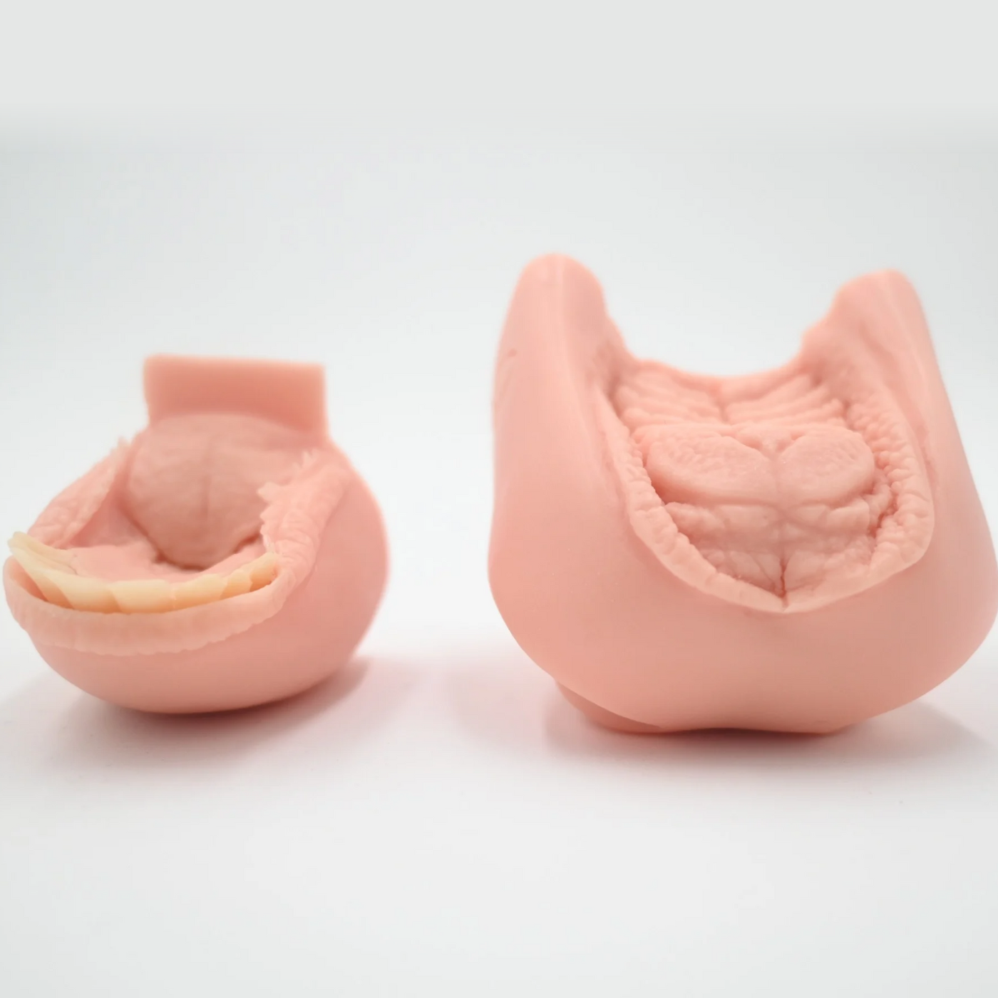 Mule Deer Flehmen Mouthpiece