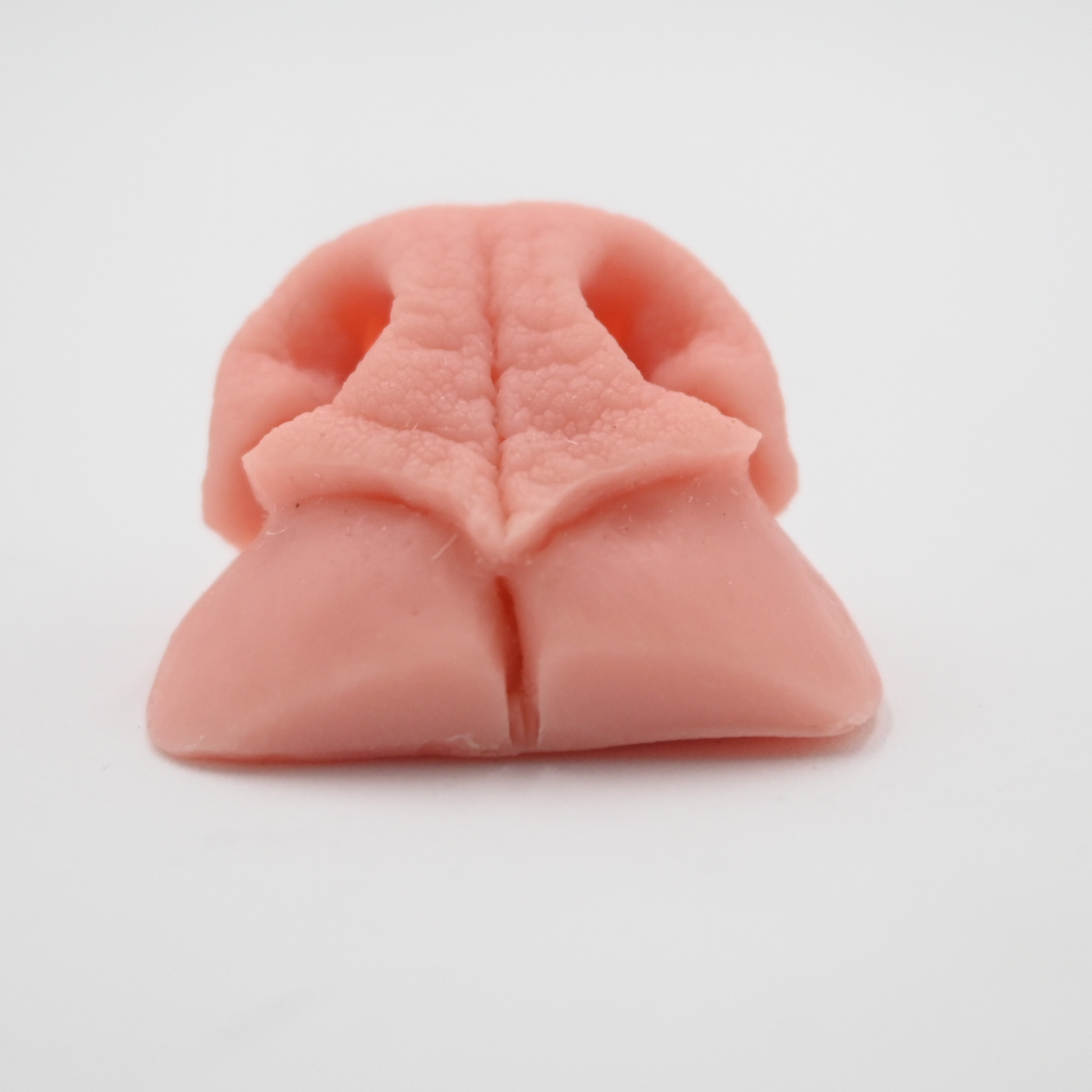 Coyote Replacement Nose