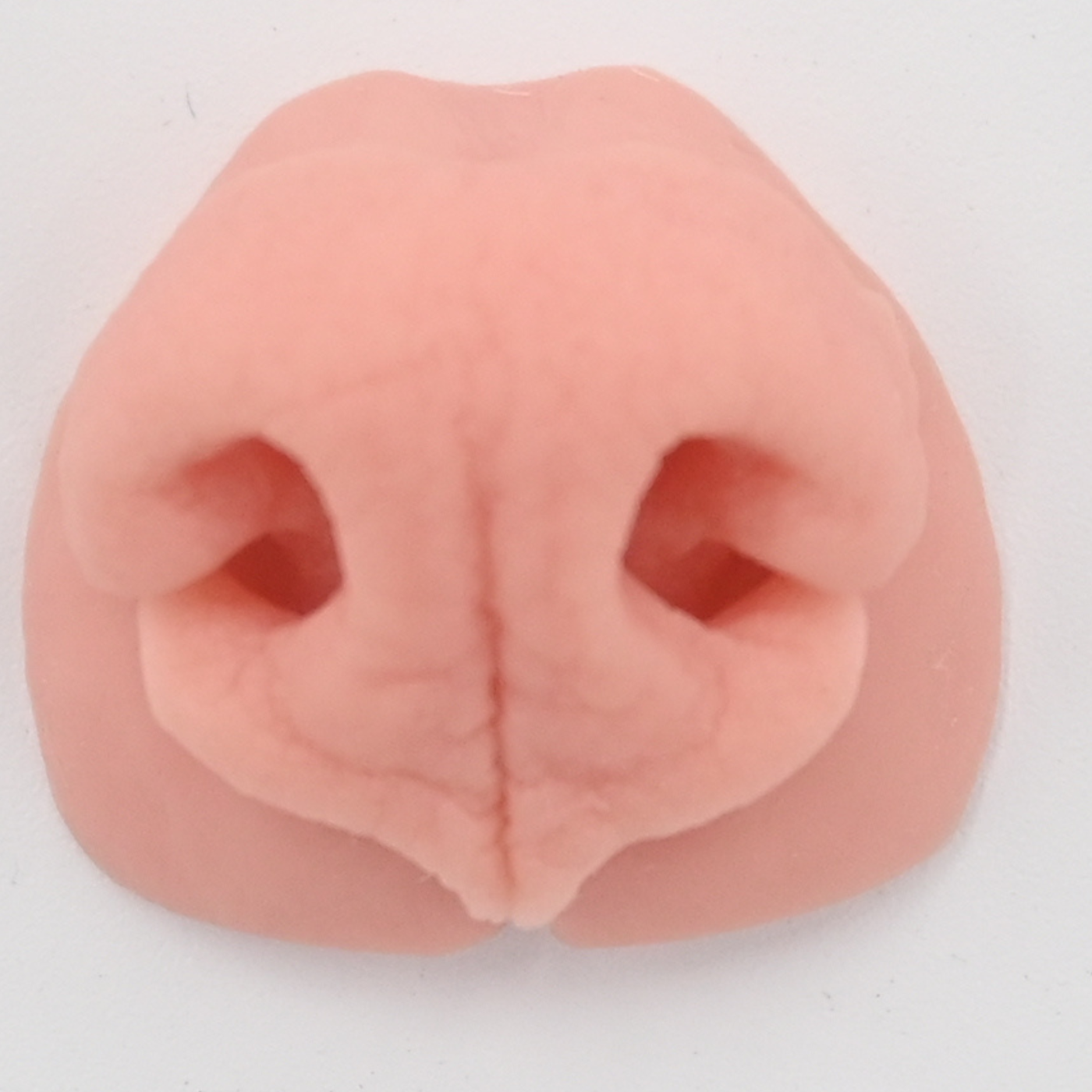 Coyote Replacement Nose