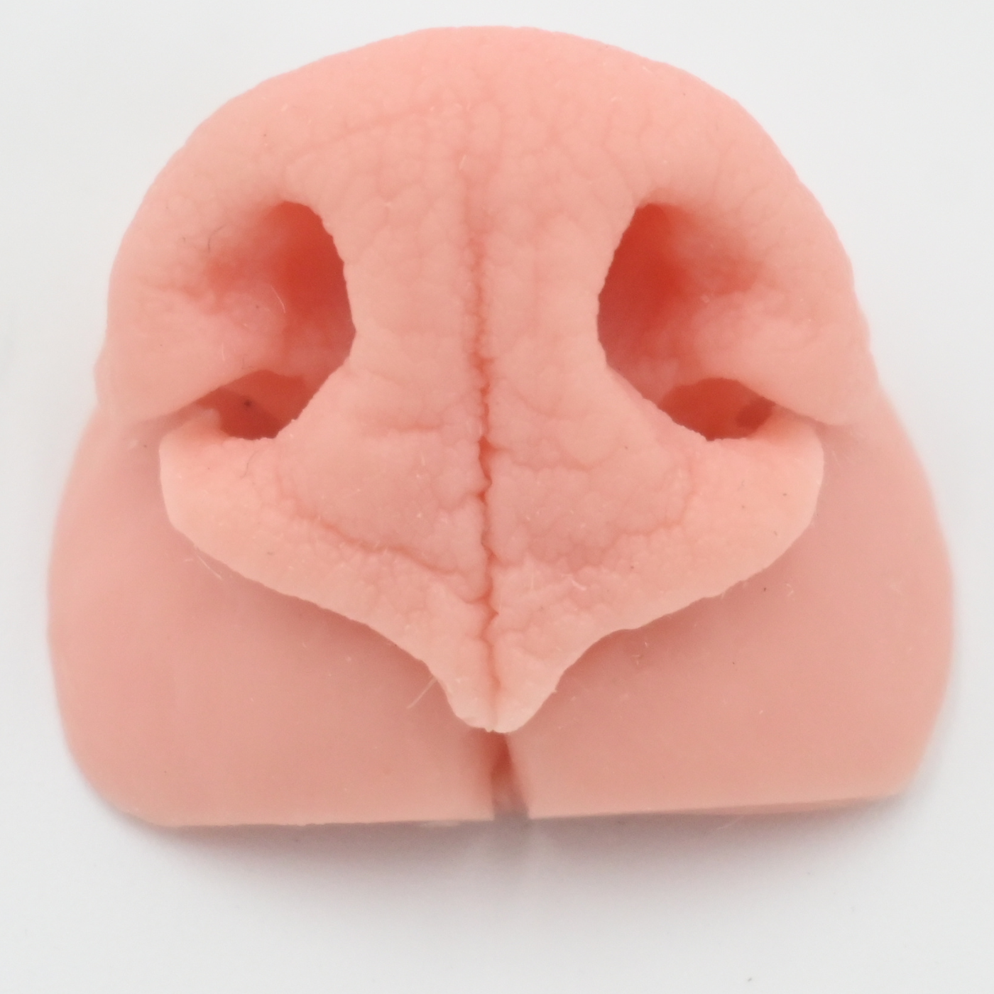 Coyote Replacement Nose