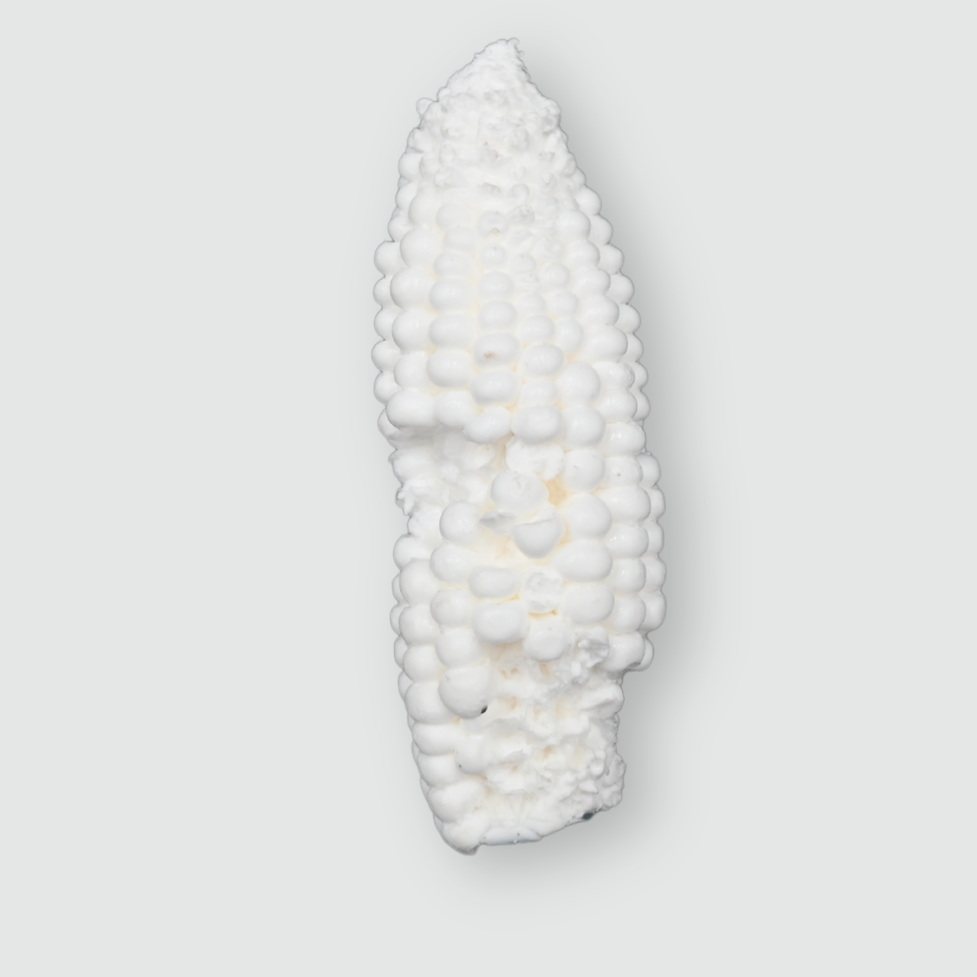 Reproduction Corn Cob