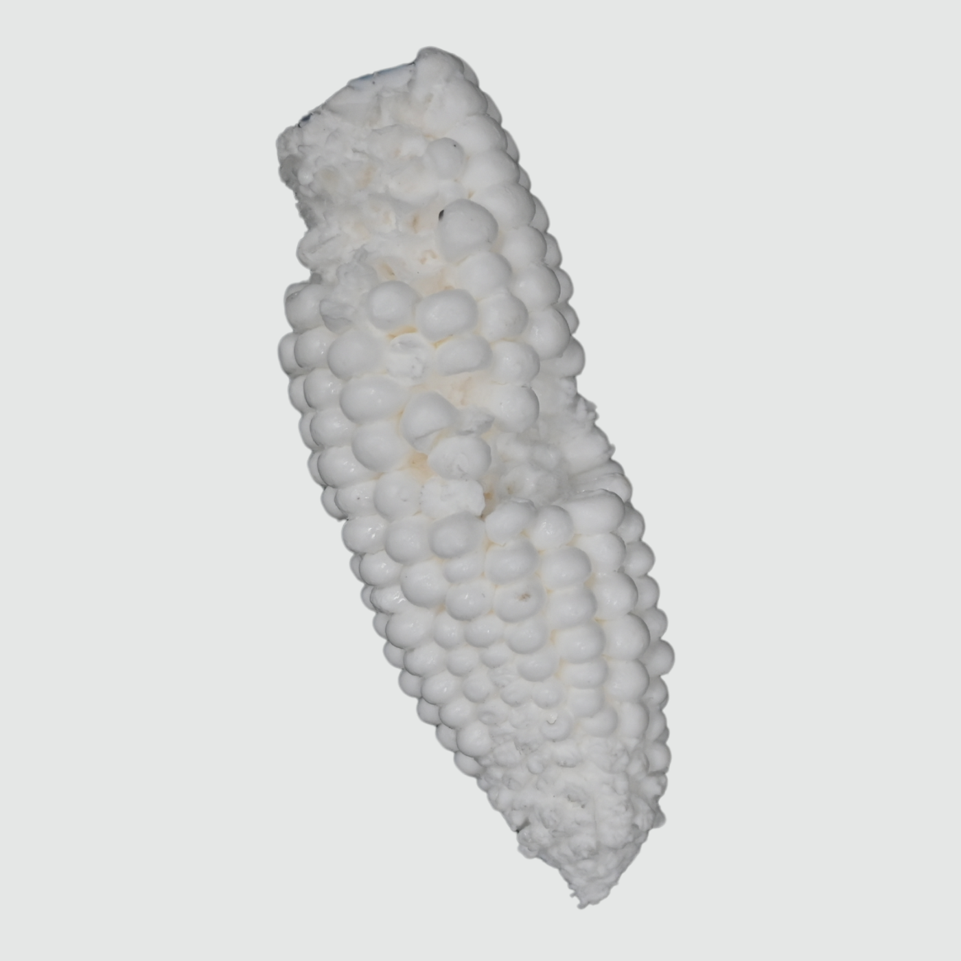 Reproduction Corn Cob