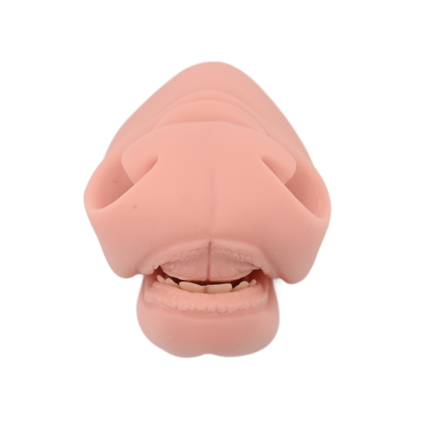 Whitetail Deer Flehmen Medium Mouthpiece