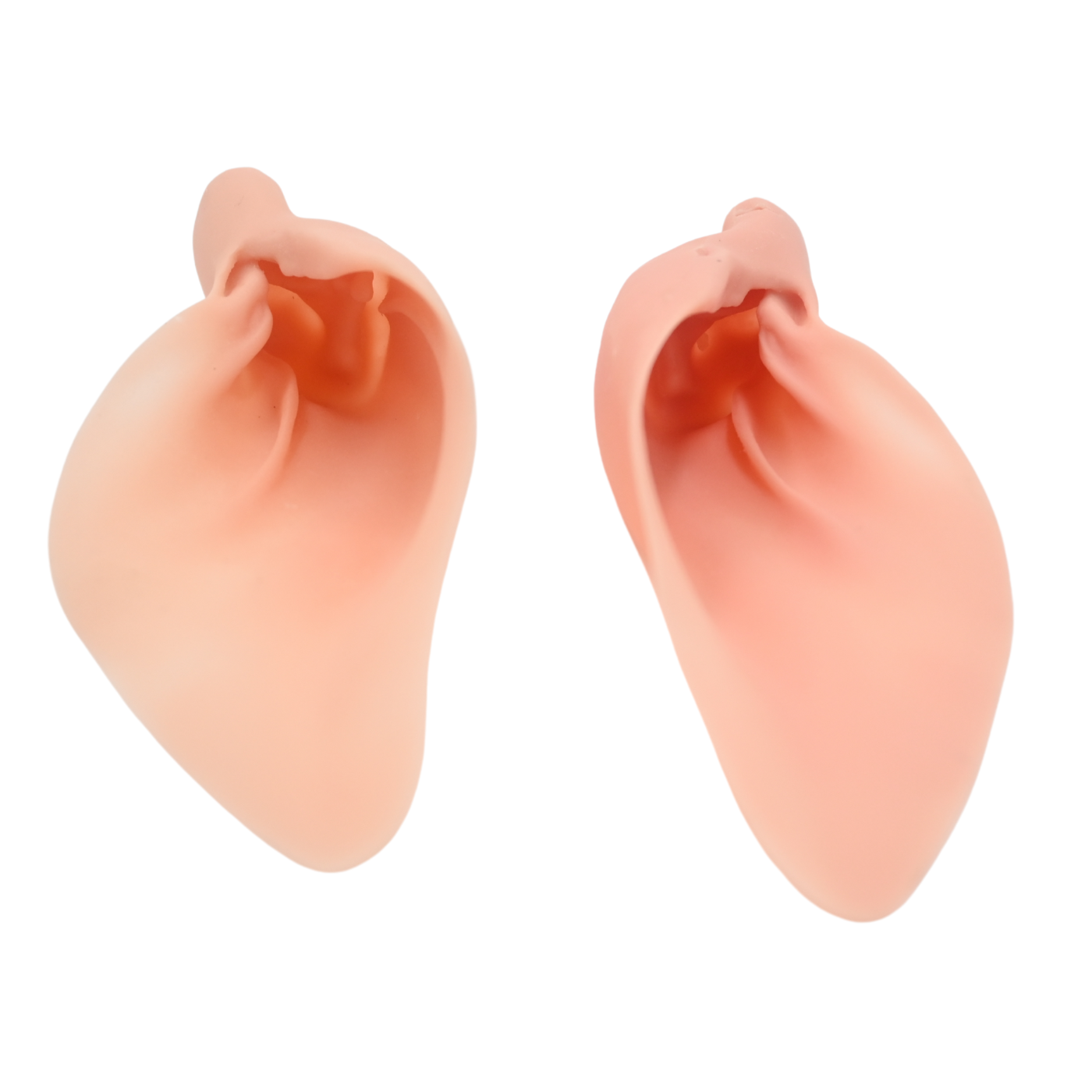 Elk Earliners