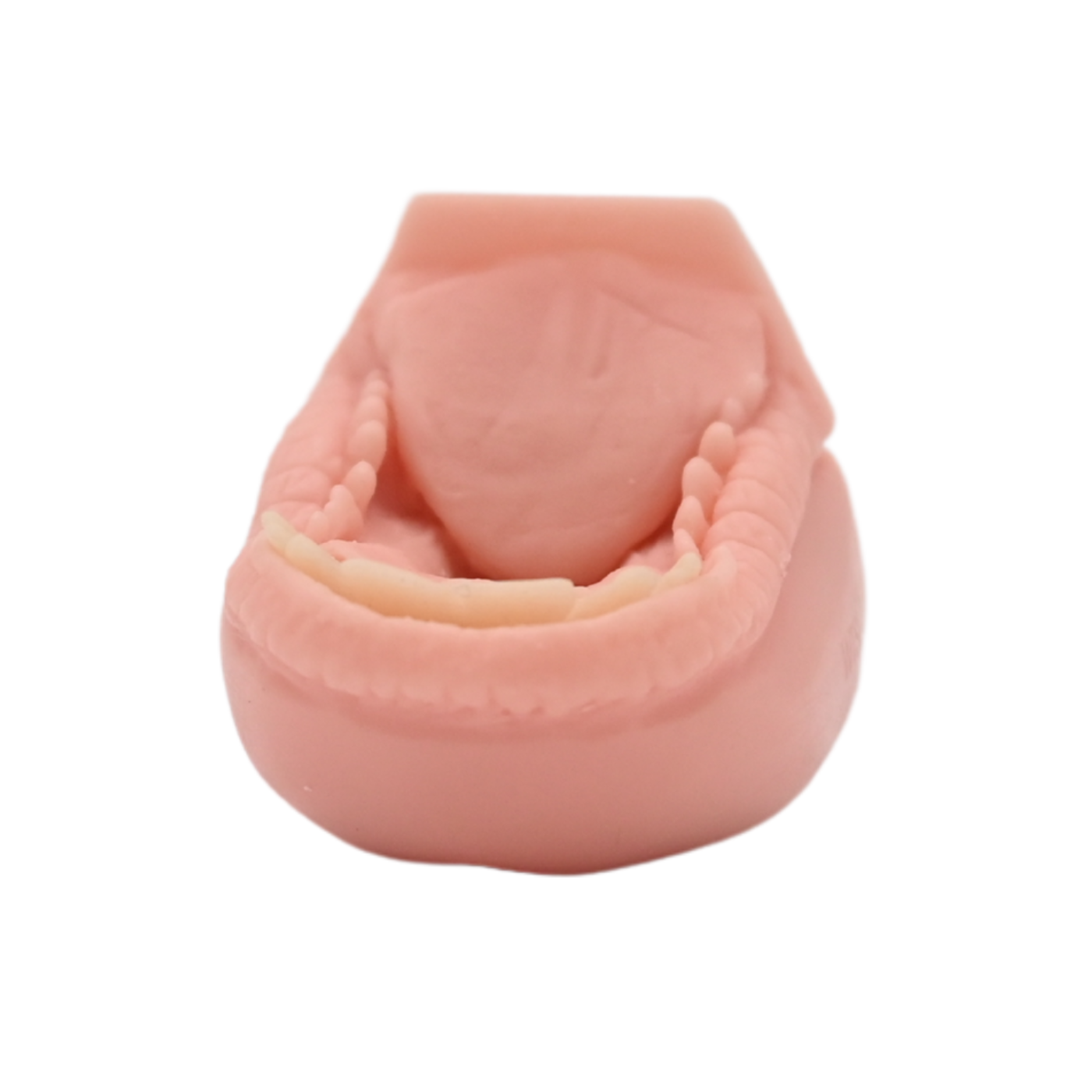 Whitetail Deer Flehmen Medium Mouthpiece