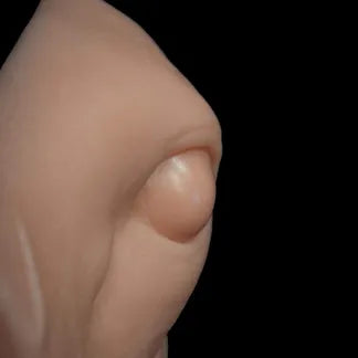 Whitetail Deer 3D Eye - Alert Reference Cast