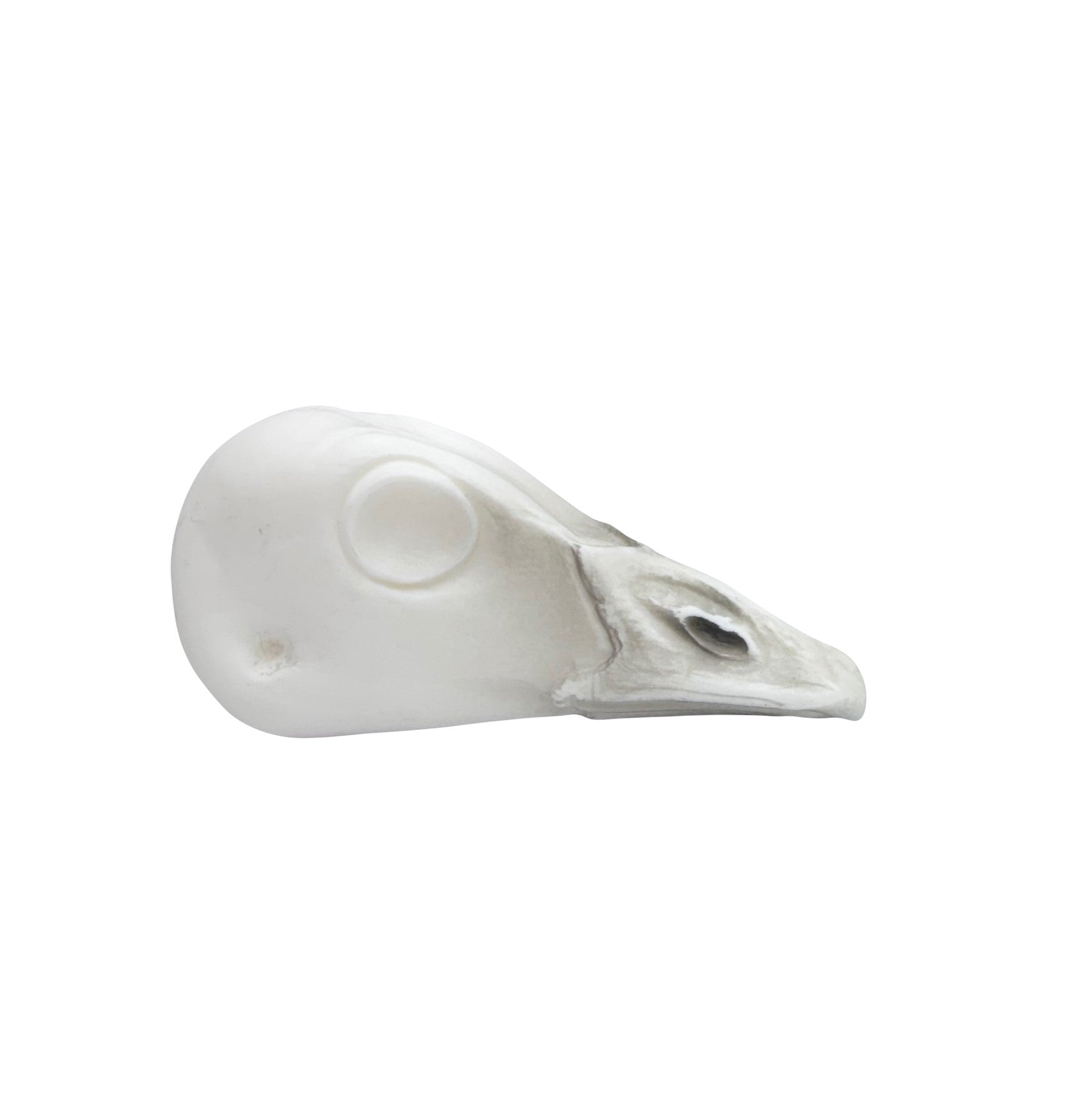 Cackling Goose - 065