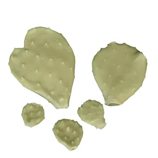 Reproduction Cactus Package