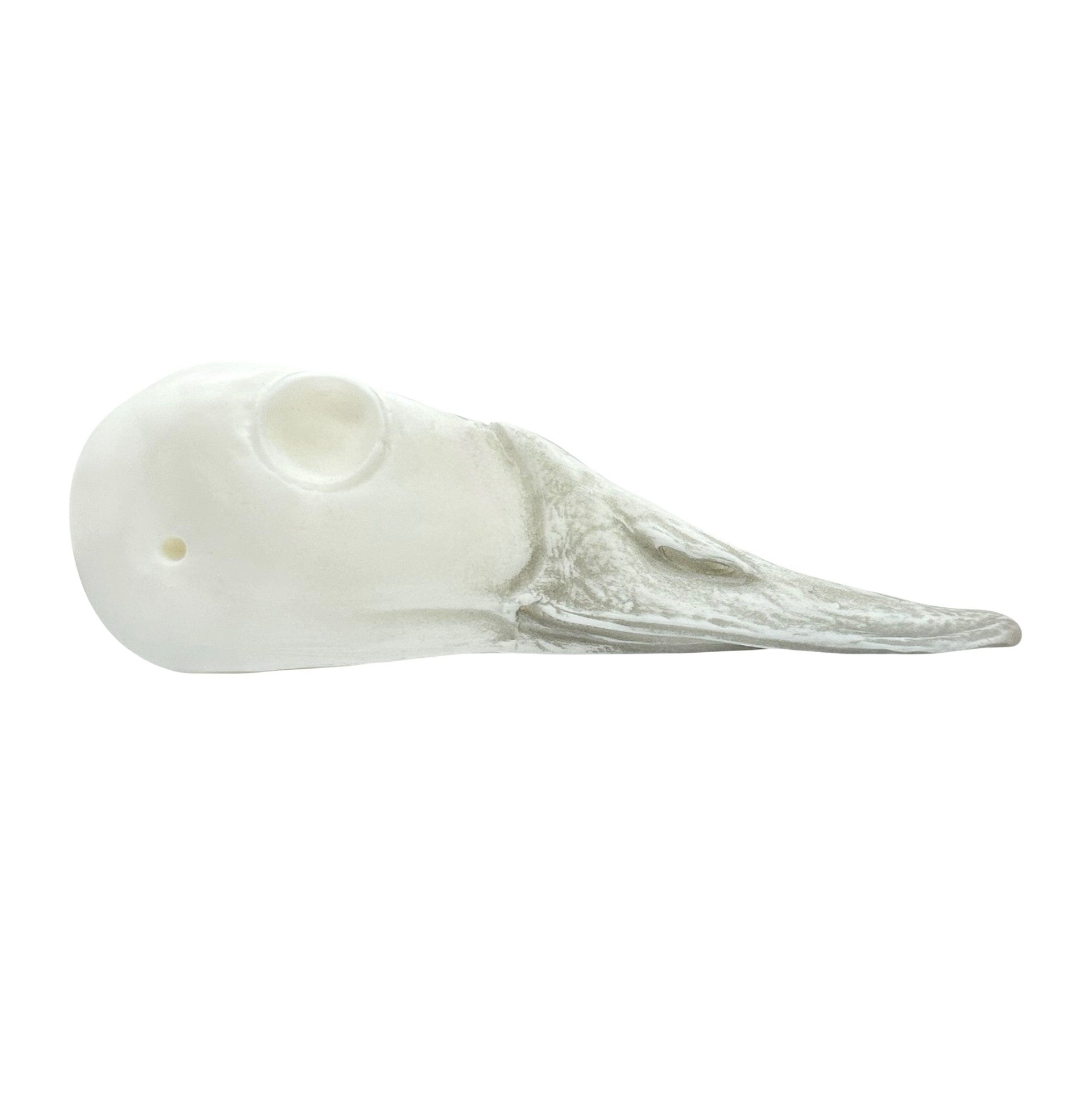 Canvasback - 005