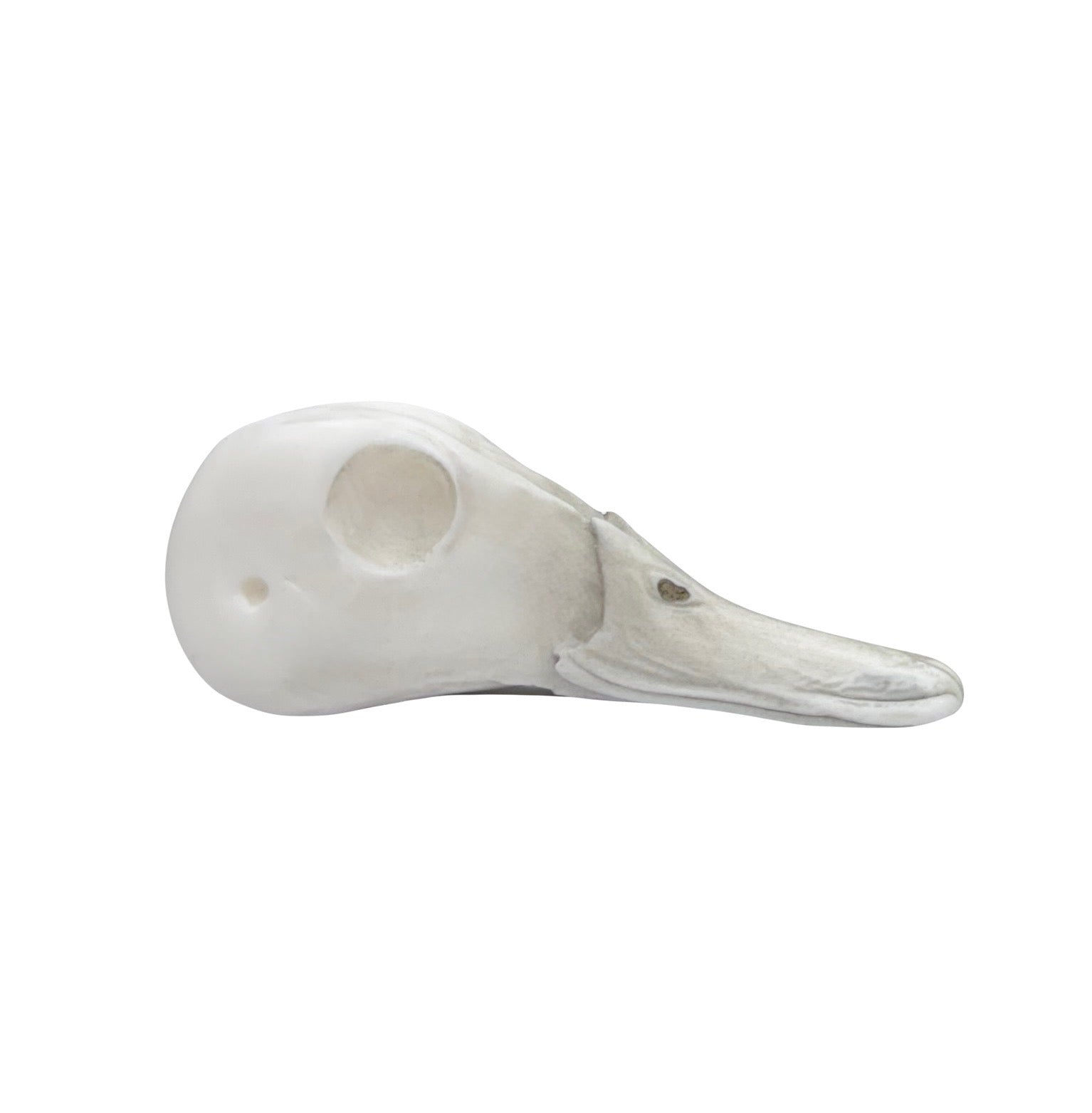 Green Wing Teal - 170