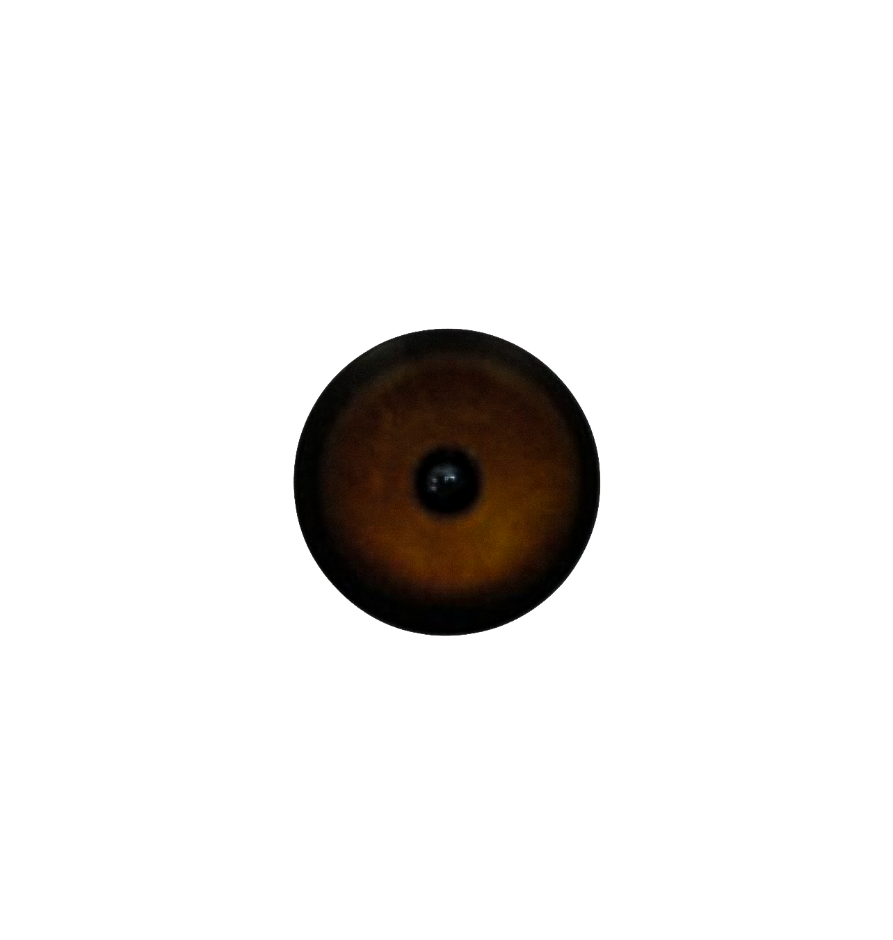 Green Wing Teal - 9mm