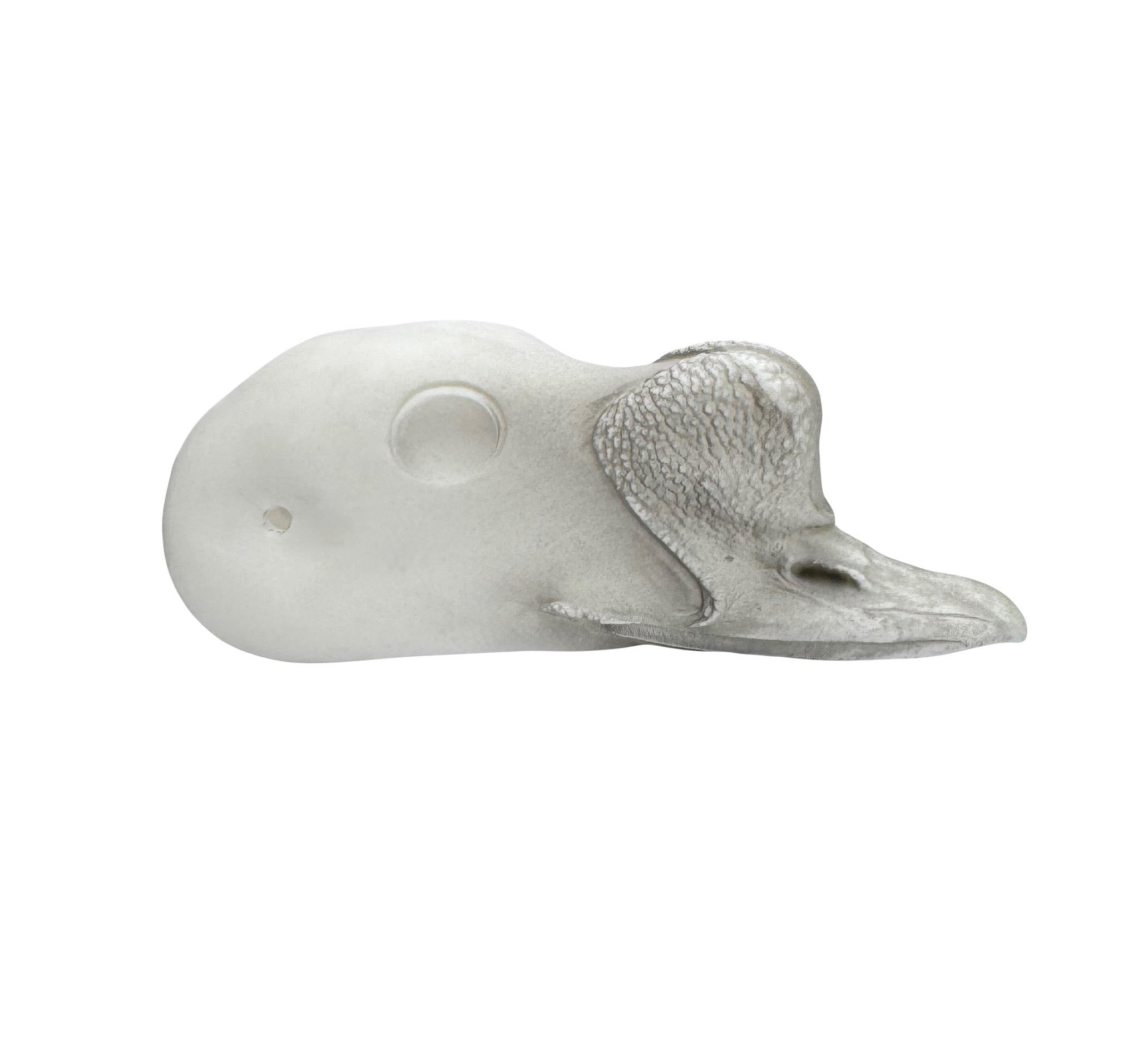 King Eider - 180