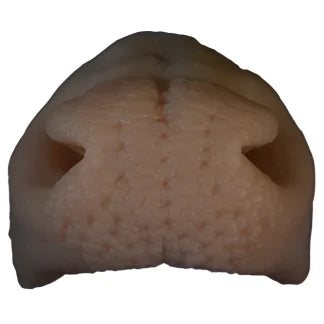 Whitetail Deer Nose Pad Reference.