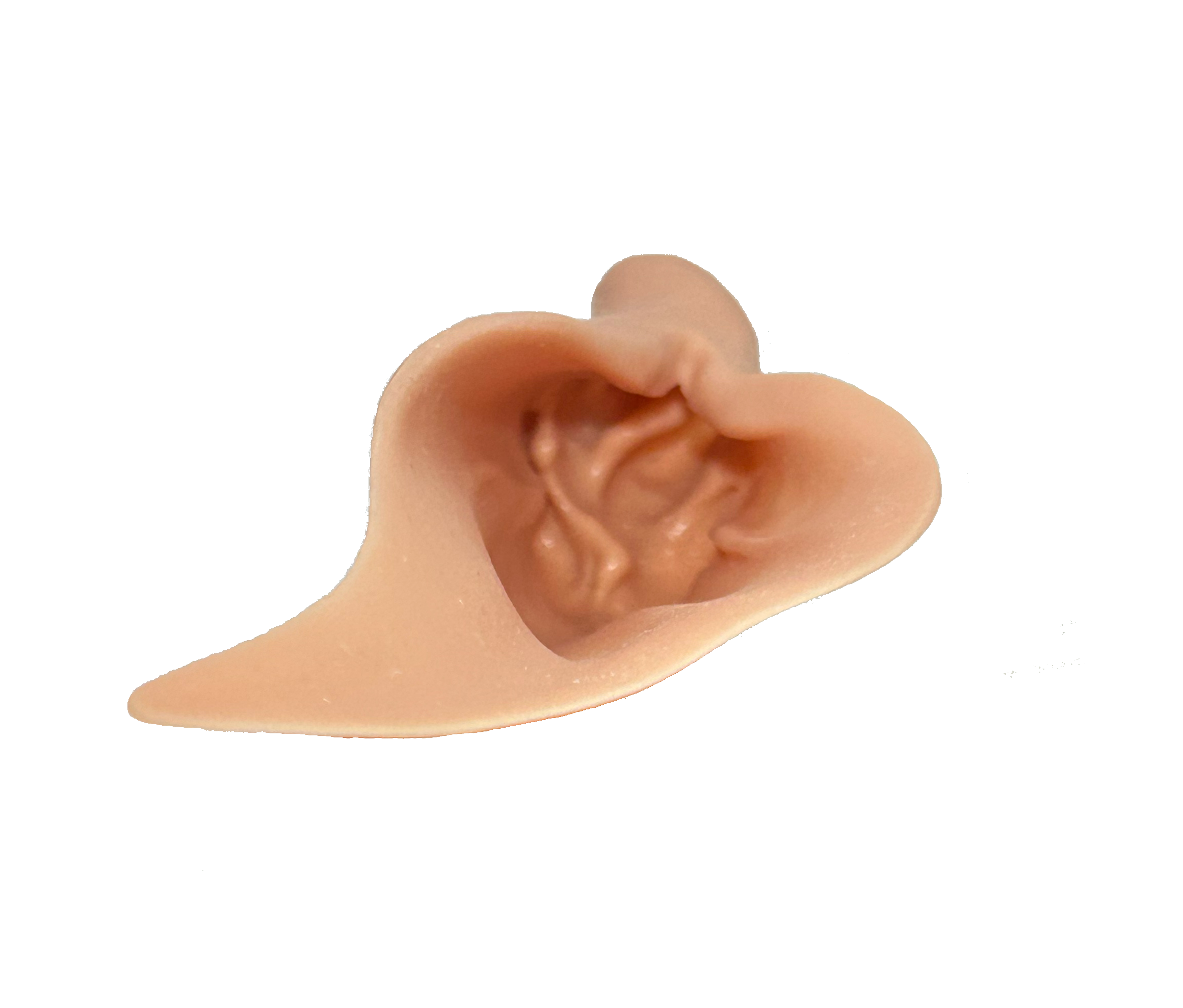 Pronghorn Earliners – PEM