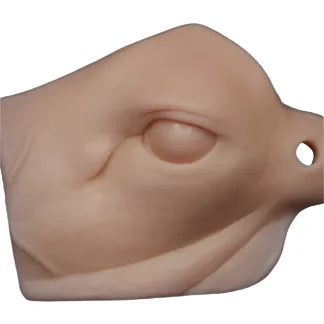 Whitetail Deer 3D Eye – Relaxed Reference Cast