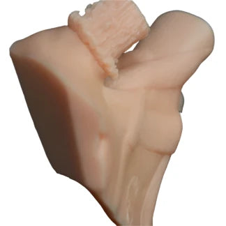 Whitetail Deer Ear Butt Reference Cast