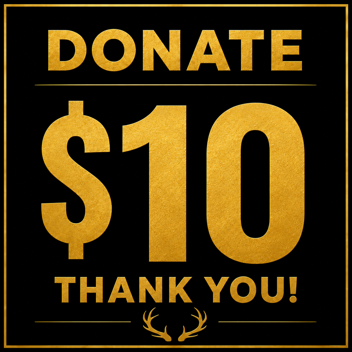 $10 Donation for the Verstegen Family