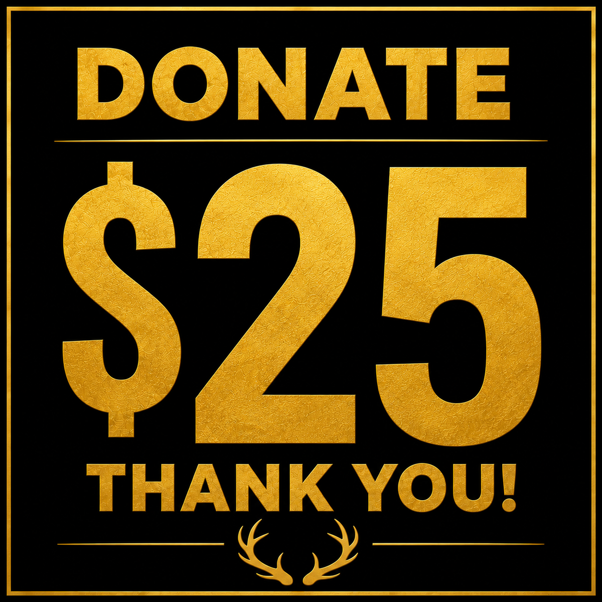 $25 Donation for the Verstegen Family