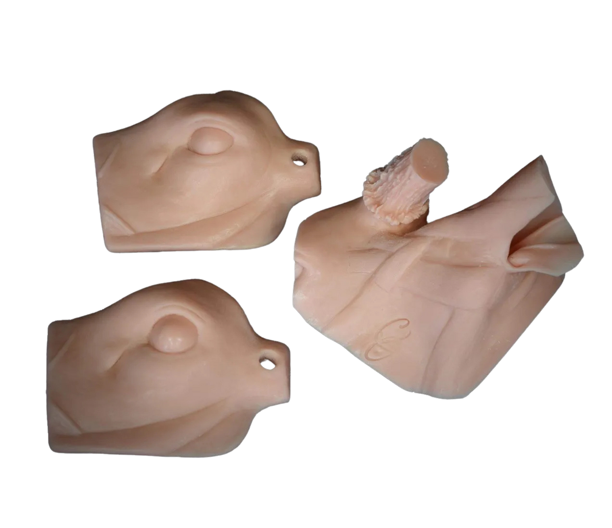 Discover 120 whitetail reference photos and whitetail deer ideas deer