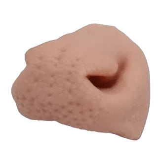 Whitetail Deer Nose Pad Reference.